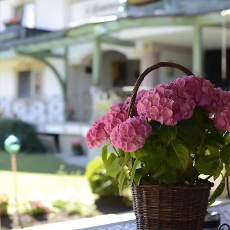 Guest house S'hoamatl 3*